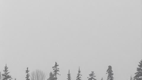 Freedom, Stewardship, and the Truth of History