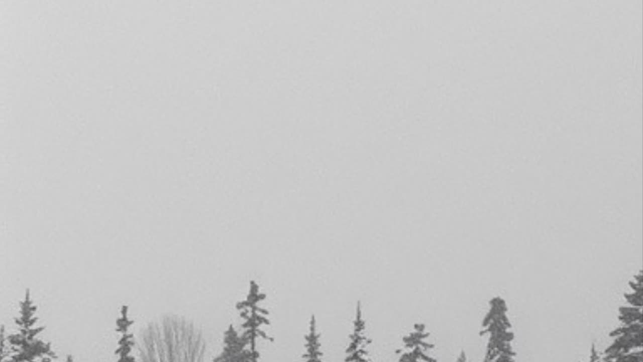 Freedom, Stewardship, and the Truth of History