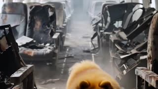 Heart touching video ❤️😭