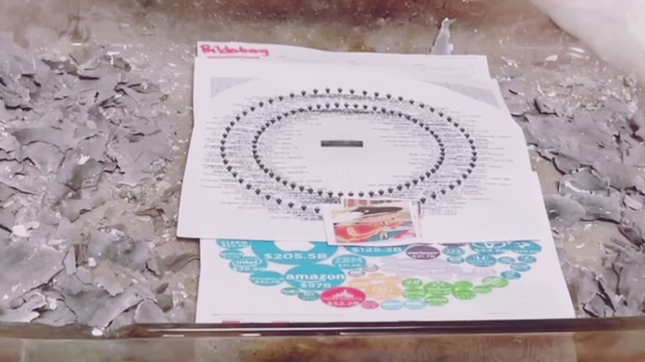 Tim Rifat TikTok Videos