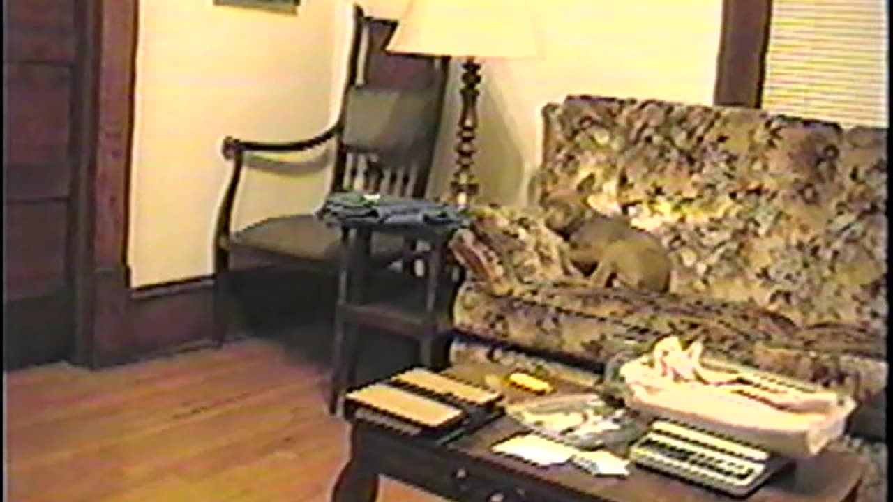 2002-VA-Puppies-2