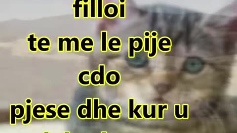 Një Histori Sekrete