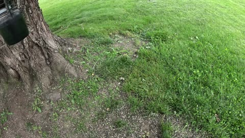 So close!