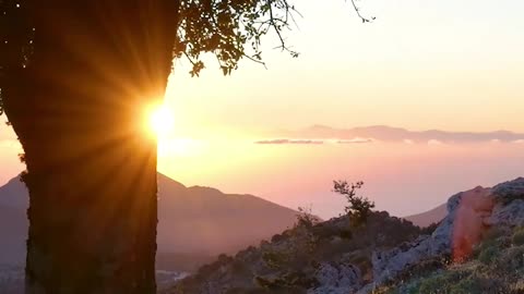 NO REGRETS - Lama Dawa's Commentary