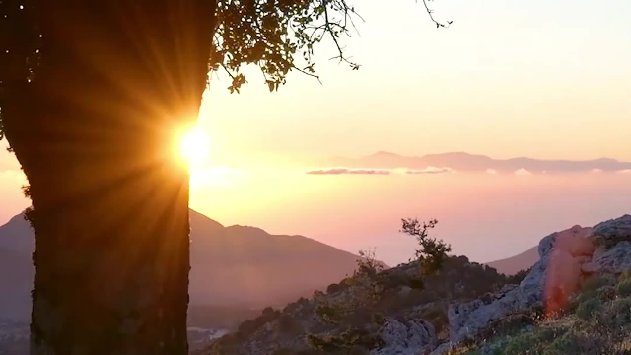 NO REGRETS - Lama Dawa's Commentary