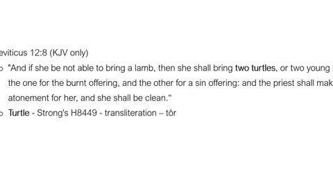 Why does God command that His people sacrifice turtles?