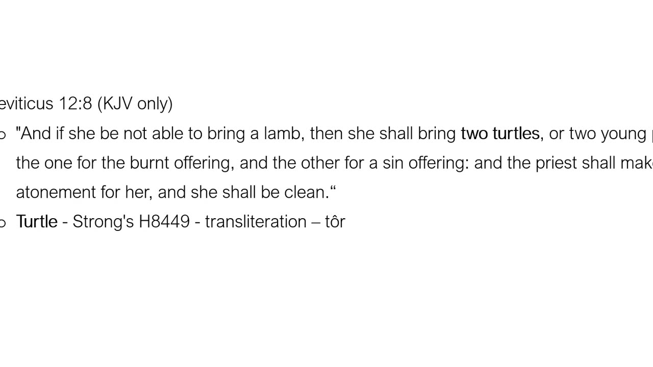 Why does God command that His people sacrifice turtles?