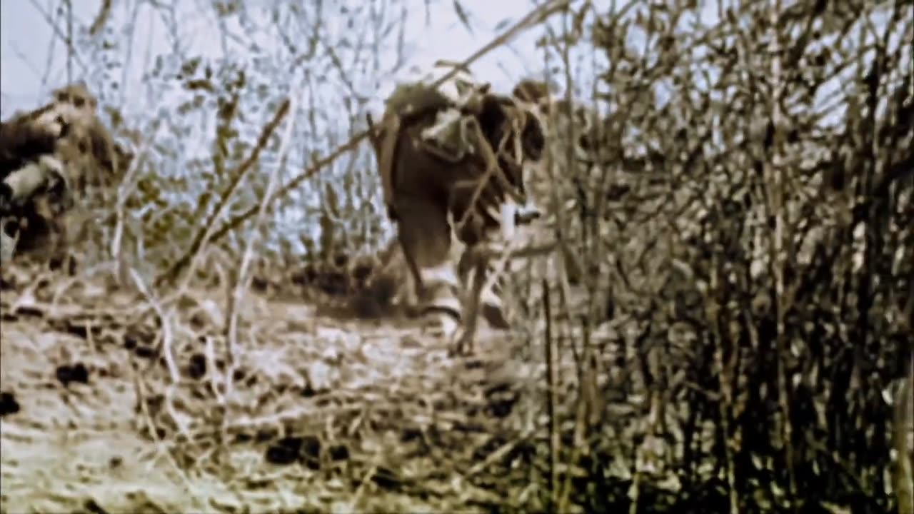 WORLD WAR 2 IN COLOUR EPISODE 11 - THE ISLAND WAR(1080P_60FPS)