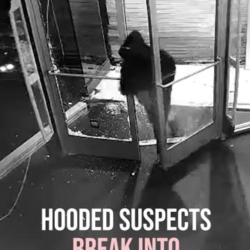 Hooded Suspects Break Into Small Chicago Retail Store