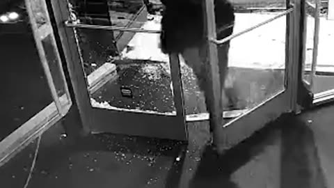 Hooded Suspects Break Into Small Chicago Retail Store