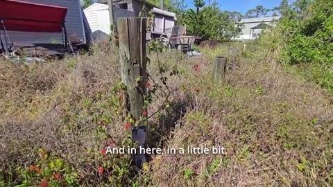 This Yard Went From Being UNSAFE To Almost DEADLY In A Matter Of Seconds_part2