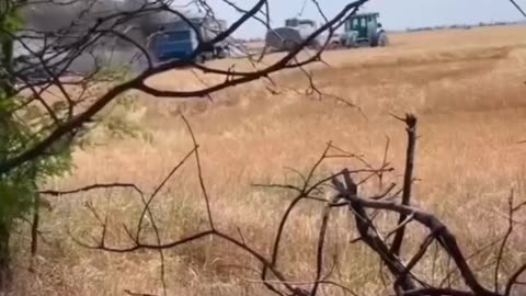 🌾🔥 Ukraine Russia War | Wheat Harvest Amid Conflict in Kherson Region | RCF