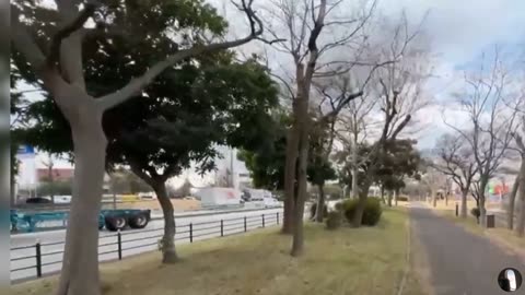 Nankou Bird Sanctuary Osaka Japan Tour