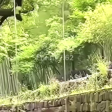 Big Fails 😂😂😂