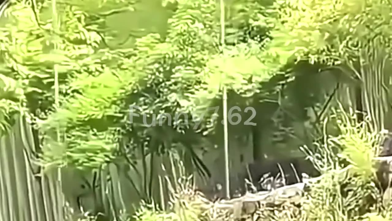 Big Fails 😂😂😂