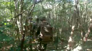 Jungle Warfare Training - Marine Corps - Okinawa, Japan