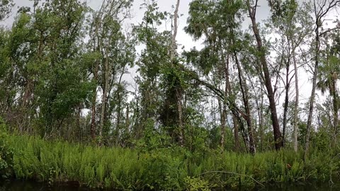 Little Manatee River Canoe Outpost