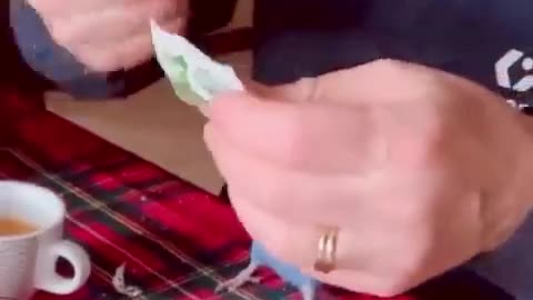 Funny compilations