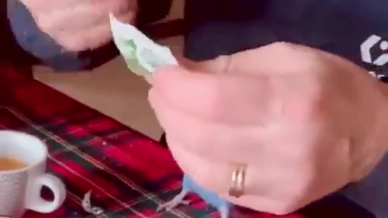 Funny compilations