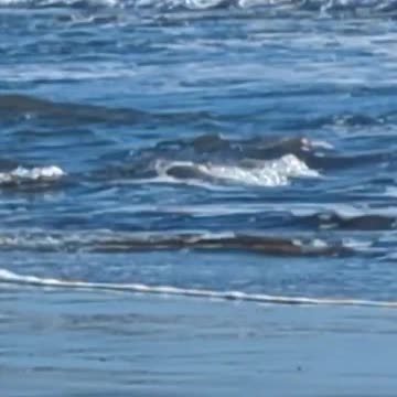 Waves for Relaxation