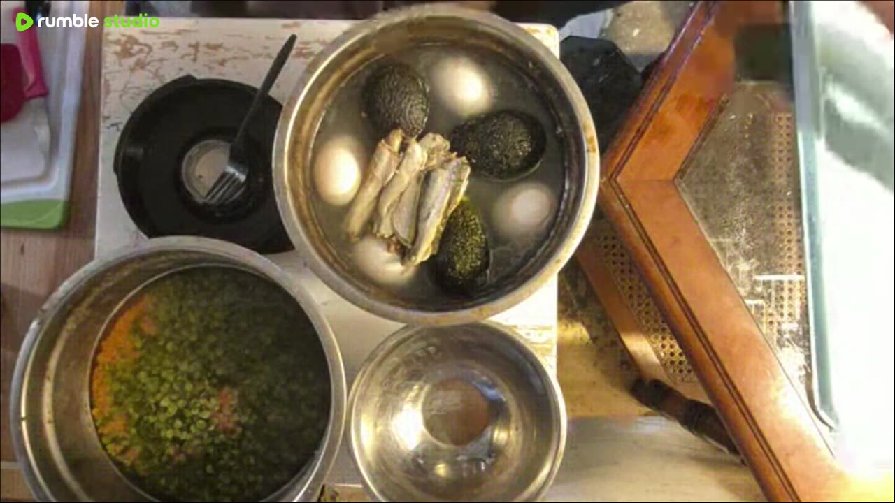 Cooking for dogs n cats with all ingredients in view