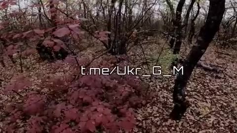 Ukraine war combat footage 10/27/25