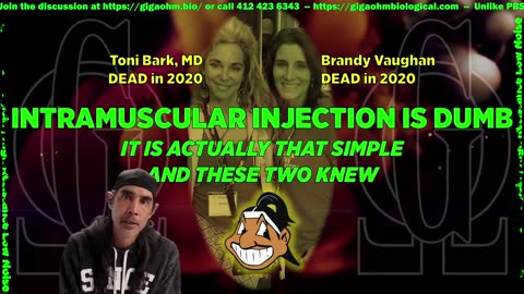 Gigaohm Biological High Resistance Low Noise Information Brief