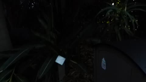Low light test