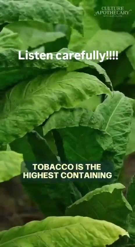 Nicotine (Dr. Bryan Ardis)