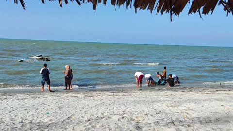 White Sand Beach Walk – Footprints & Seaside Serenity (Part 2)