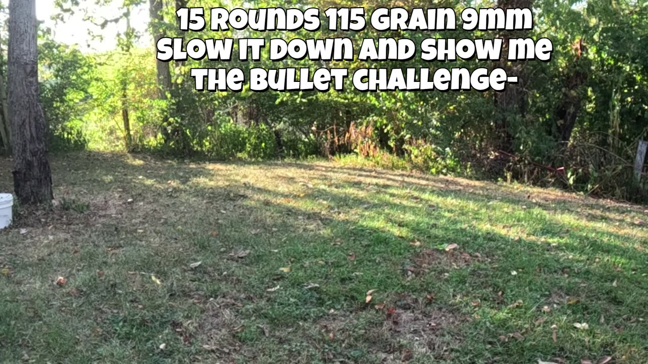 Show me the bullet-