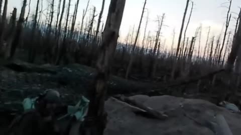 🔥🎯 Ukraine Russia War | Brazilian Volunteers Shell Russian Positions in Serebryansky Forest | RCF