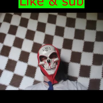 Birds don’t sleep…