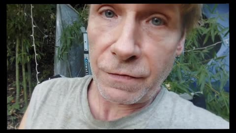 A Third Party?- Trump, Epstein, Quick Rant- Found The Piece on Corporate Cities