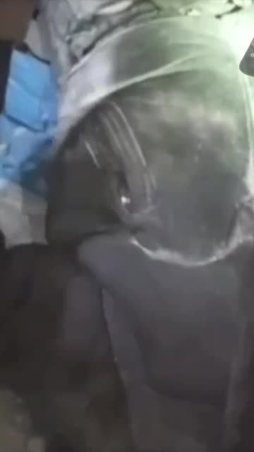 Colombian Volunteers Looting the Masses Fallen Enemy Combatants