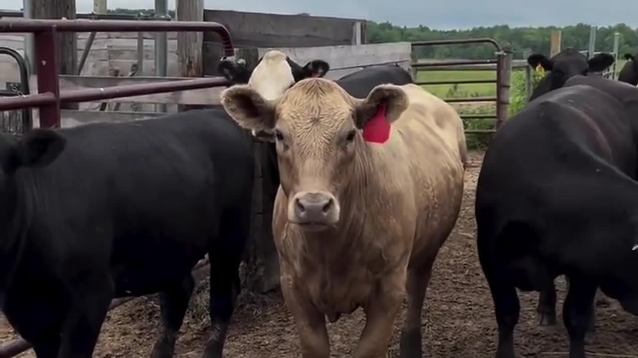 😱😠How Dare You?! This Is INSANE! | FunFM