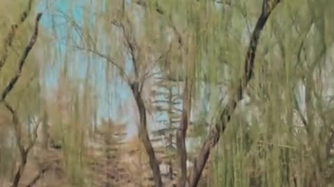 🇨🇳 Beautiful places in China to visit #3 #shorts