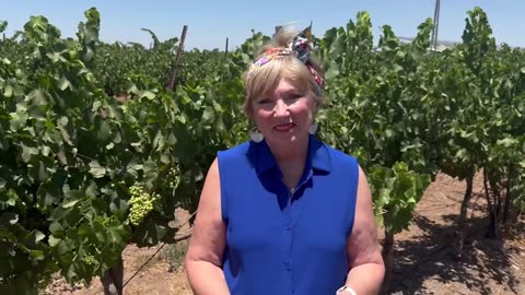 Update from The Couple from Galilee 7/2/25 Hebrew Word for Vineyard=Kerem