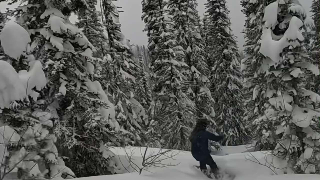 Snowboarding & Skiing on a Pow Day