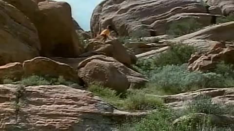 Siêu Nhân Khủng Long Phần 1- Mighty Morphin Power Rangers SS1 - Tập 02