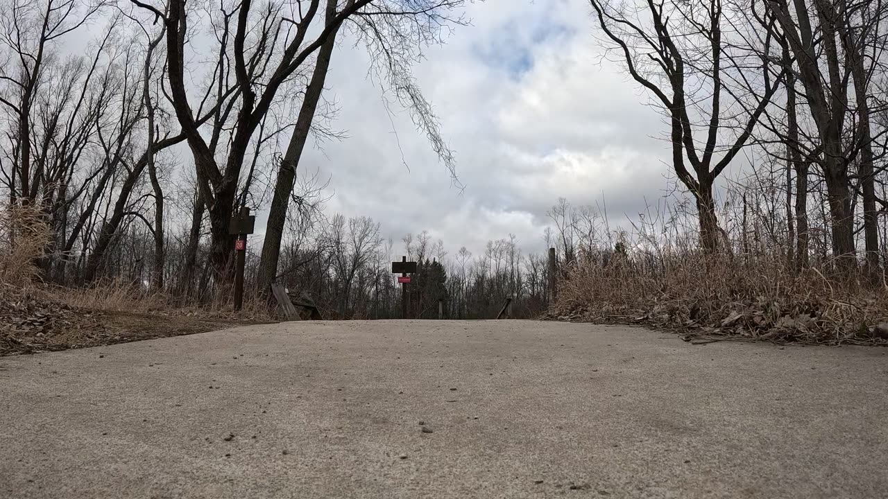 Walking to a pond
