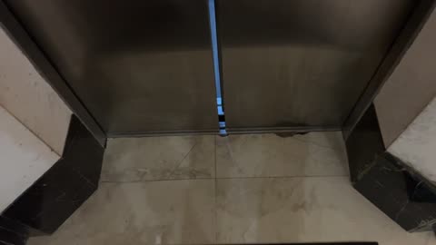 Toshiba Lift