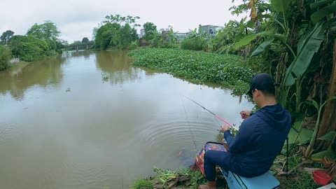 Roach Float Fishing in Gentle River Curves