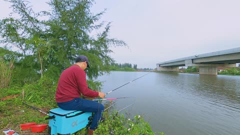 Chub Champions Overlooked River Gems