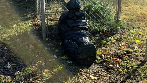 Halloween Decorations Taken Too Far?