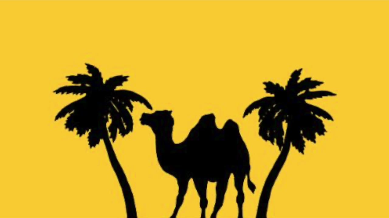 -MasterBaitMasterClass - MB Film Study