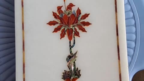 Hopi po popi flower