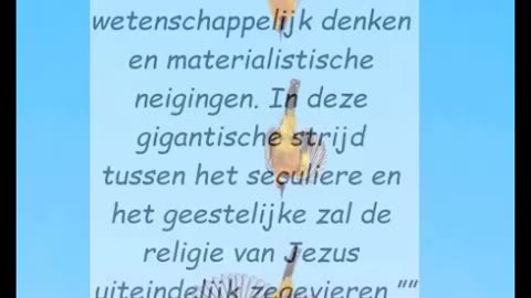 Triomfantelijk