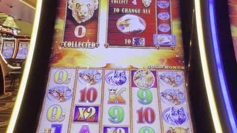 Bonus on Buffalo Gold slot 😄🎰👍