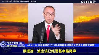 （三十一）在最黑暗的2022年病毒基本结束后人类步入疫苗灾难期【2022年01月19日文贵大直播精选】